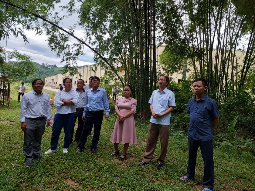 Đoàn công tác tỉnh Gia Lai thăm rừng tre tại tỉnh Thanh Hóa. Ảnh: Nguyễn Diệp ảnh 1