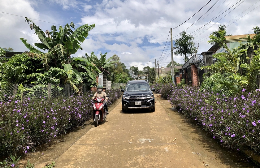 Con đường hoa đẹp mắt ở làng Ia Nueng. Ảnh: Lê Nam ảnh 2
