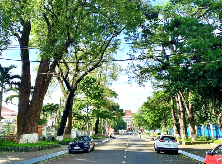 Một góc thành phố Pleiku-thành phố trung tâm tiểu vùng Bắc Tây Nguyên được quy hoạch xây dựng theo hướng đô thị thông minh, “Cao nguyên xanh, vì sức khỏe”. Ảnh: Hà Duy ảnh 4