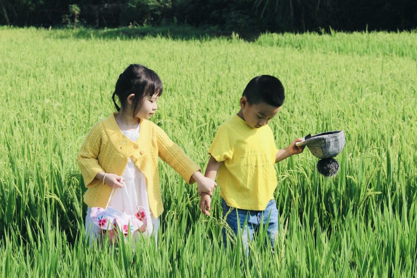 Trẻ em thỏa thích khám phá trên những cánh đồng thơm mùi sữa.
