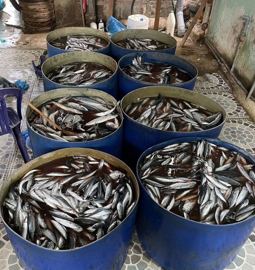 Công an huyện Krông Pa phát hiện tại khu vực chế biến thực phẩm có 9 thùng nước đang ngâm cá bên trong và 1 can chứa chất lỏng trong suốt nghi là chất tẩy trắng. Ảnh đơn vị cung cấp