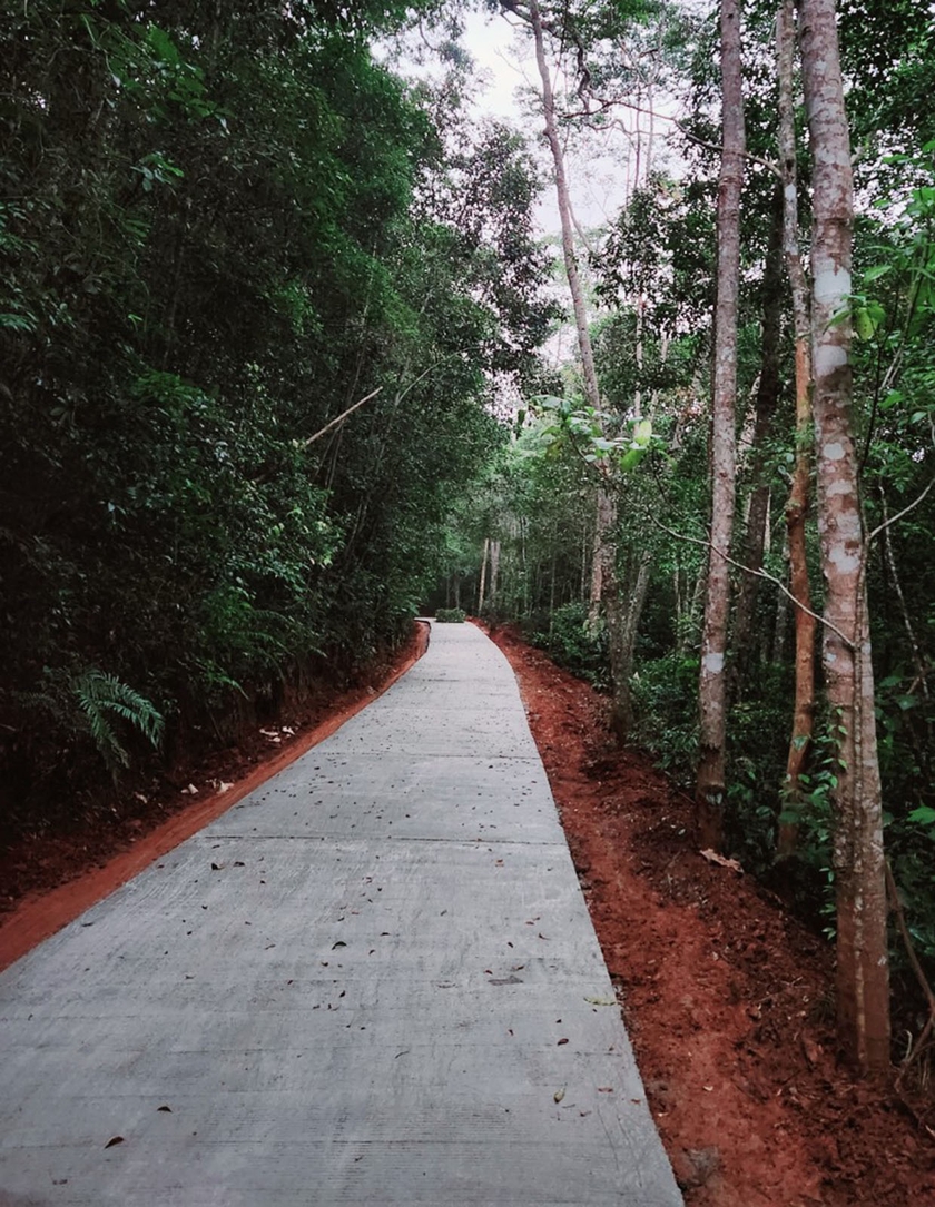 Nhà thầu đang đẩy nhanh tiến độ thi công 2,45 km đường bê tông trên tuyến đường nối từ trụ sở Khu bảo tồn thiên nhiên Kon Chư Răng đến thác K50 (huyện Kbang, tỉnh Gia Lai). Ảnh: D.L