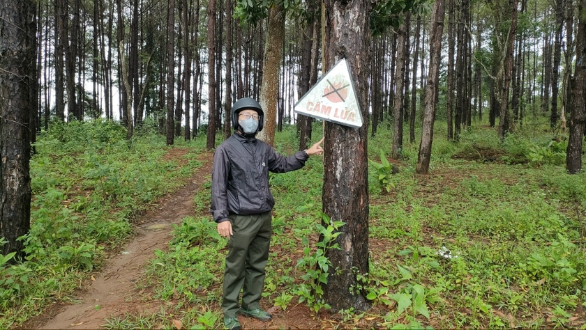 Khu đất tranh chấp giữa Phan Anh Tuấn và Ban Quản lý rừng phòng hộ Bắc Biển Hồ. Ảnh: T.D