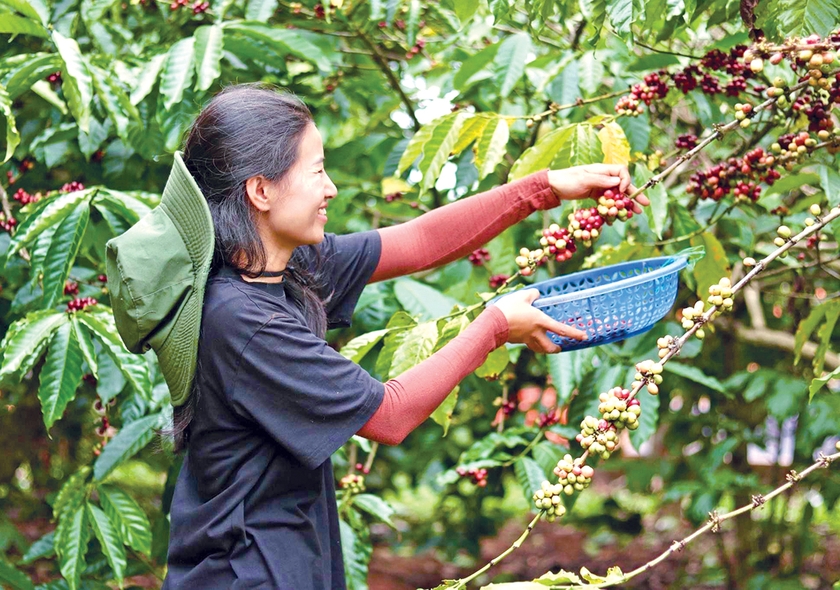 Chị Trần Thị Kim Phùng Thủy với khát vọng xây dựng một thế hệ nông dân Việt Nam mới, có tri thức và phong cách sống (ảnh nhân vật cung cấp).