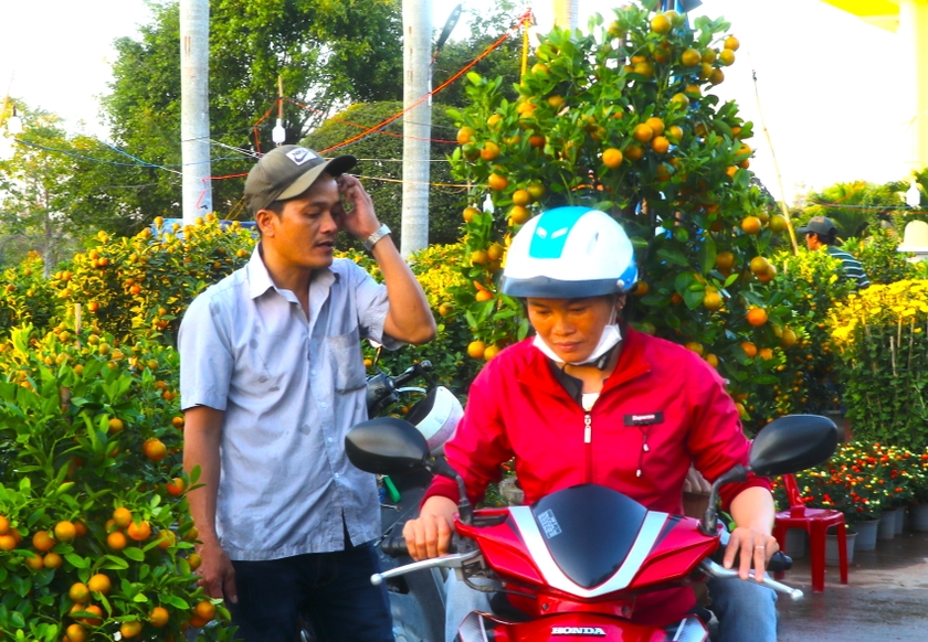 Chị Phạm Thị Son (thôn An Thạch, xã Xuân An, thị xã An Khê) mua 1 cây quất cảnh về trưng Tết. Ảnh: Ngọc Minh