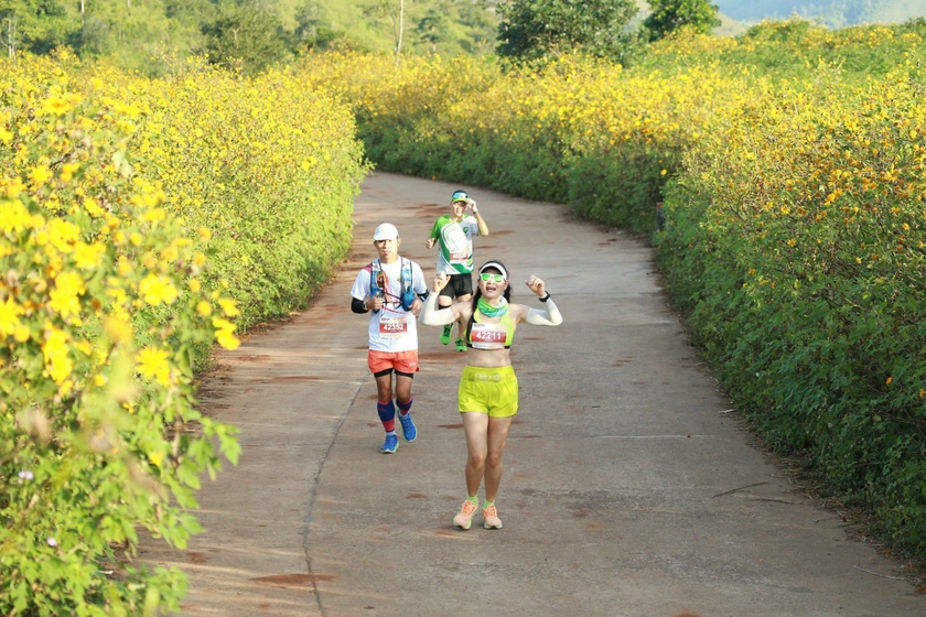 Các runner cả nước chinh phục núi lửa Chư Đang Ya trong mùa hoa dã quỳ vàng rực. Ảnh: Văn Ngọc