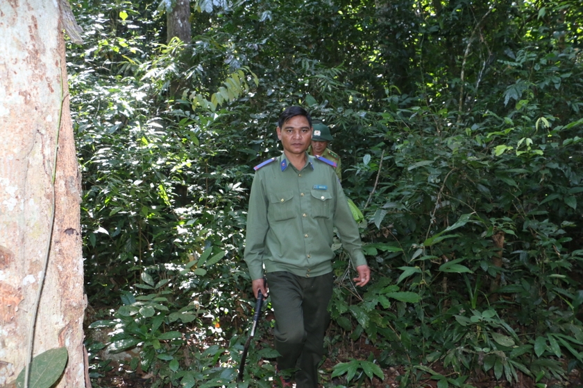 Như mọi năm, Tết năm nay, anh Đinh A Lia tiếp tục trực chiến để phối hợp tuần tra, canh giữ bình yên cho những cánh rừng. Ảnh: Quang Tấn