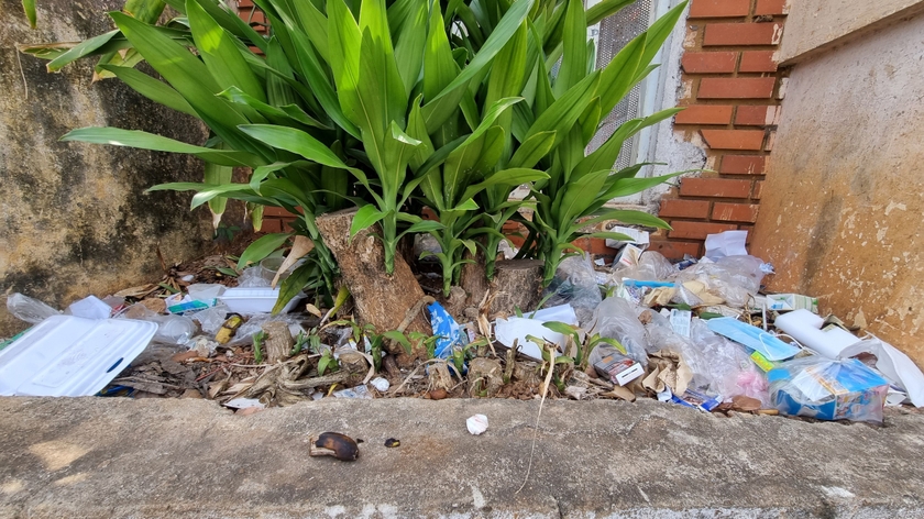 Hố rác tự phát nằm ngay trước cổng Bệnh viện Đa khoa tỉnh Gia Lai.