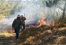 Các đơn vị chủ rừng trên địa bàn huyện Chư Păh tổ chức đốt trước có điều khiển và làm đường ranh cản lửa để PCCCR. Ảnh: Lê Nam