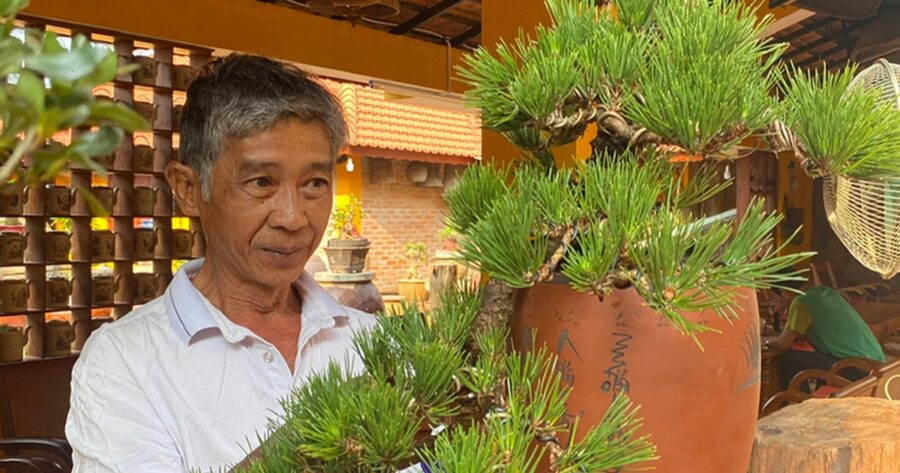 
 Hội quán bonsai Gia Lai: Nơi hội tụ và nuôi dưỡng đam mê 
