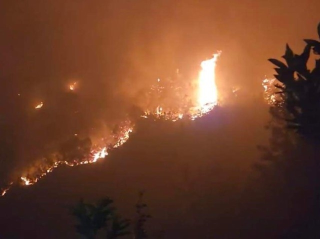 Ngày 26-4-2024, cháy rừng tại tỉnh Hà Giang làm thiệt hại nhiều hec-ta rừng, ảnh hưởng đến môi trường sinh thái và đời sống của người dân trên địa bàn. Ảnh nguồn VGP