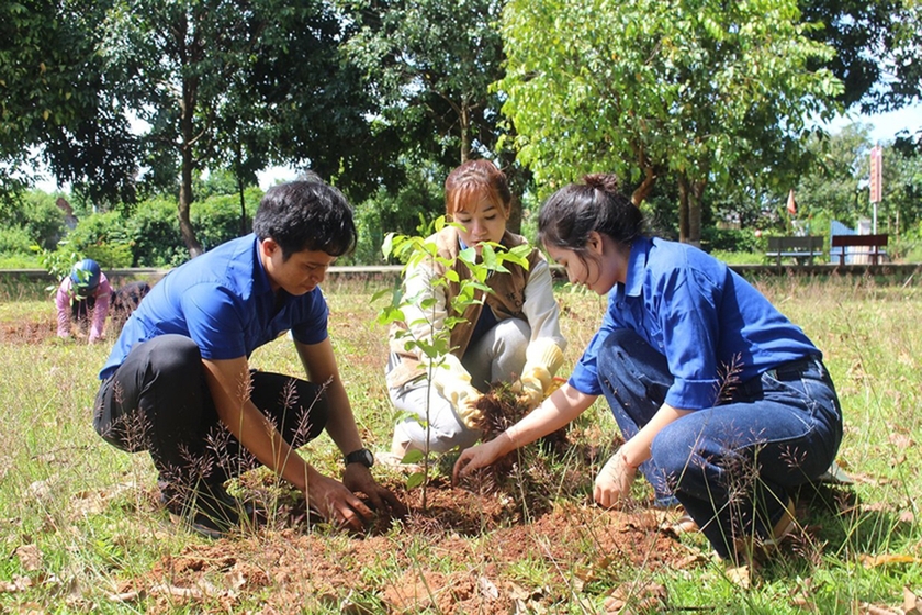 Đoàn viên, thanh niên huyện Chư Păh trồng cây xanh tại Công viên thị trấn Ia Ly. Ảnh: Phan Lài