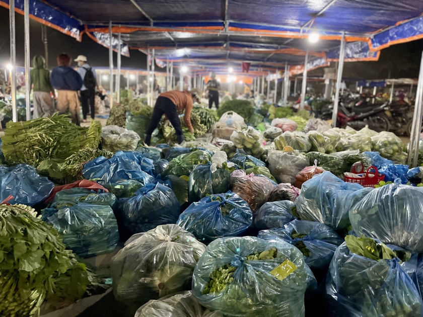 Nhiều hộ mua bán lớn sẽ cảm thấy việc phân chia mỗi lô sạp chỉ 4 m2 là không đáp ứng yêu cầu kinh doanh. Ảnh: Vũ Thảo