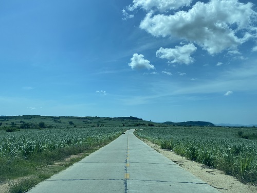Đơn thư kéo dài liên quan đến đường liên xã nối Kông Lơng Khơng với Đăk Hlơ, băng qua giữa bạt ngàn cánh đồng mía. Ảnh: Thanh Tuấn 2