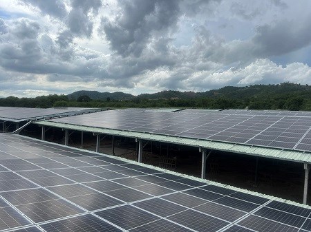 Chủ đầu tư điện mặt trời ở Gia Lai khiếu nại vì bị tạm dừng mua bán điện 1