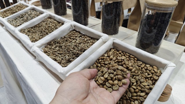 Giá cà phê Robusta thế giới tăng cao nhất trong lịch sử