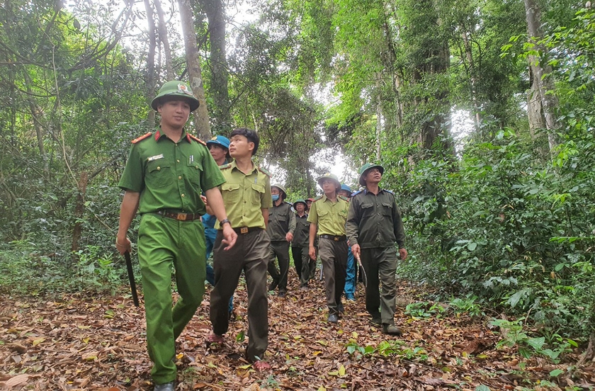 Cơ quan chức năng của huyện Kbang tiếp tục triển khai quyết liệt các giải pháp nhằm ngăn chặn hành vi xâm hại tài nguyên rừng. Ảnh: M.P