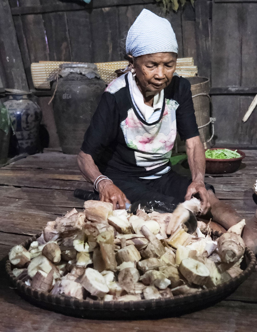 Củ mì gòn là nguyên liệu ủ rượu ghè rất gần gũi với người Tây Nguyên. Ảnh: Minh Châu 2mv.jpg