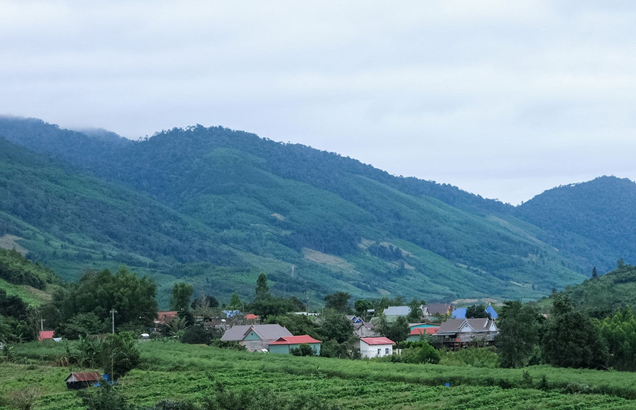 Các làng người Bahnar ở vùng đất Kông Chro đều đang chộn rộn chuẩn bị cho Tết. Ảnh: Minh Châu 3mc.jpg
