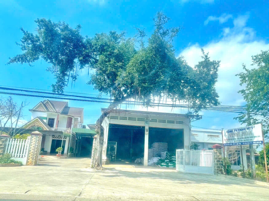 Công ty TNHH MTV Vinh Hoa (thị trấn Ea T’ling, huyện Cư Jút) cũng là một trong những đại lý phân phối có số lượng phân bón giả 20 tấn. Ảnh: NG 3
