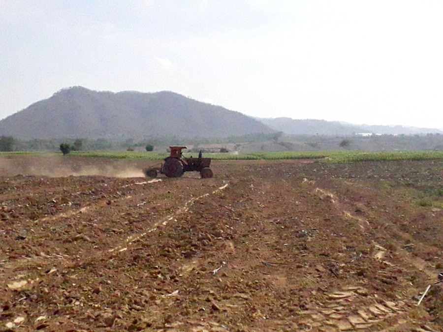 TTHC về đất đai, nhất là thủ tục cấp GCNQSDĐ trên địa bàn huyện Krông Pa đang gặp nhiều khó khăn, vướng mắc. Ảnh: Lê Nam ngoi-dan-xa-phu-can-huyen-krong-pa-cay-dat-de-trong-cay-mi-anh-le-nam.jpg