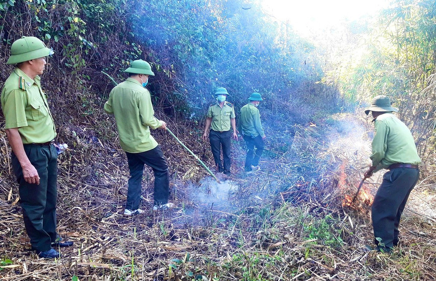 Lực lượng chức năng phát dọn thực bì, làm đường ranh cản lửa. Ảnh: M.P ubnd-huyen-kbang-yeu-cau-cac-co-quan-don-vi-dia-phuong-lien-quan-va-cac-don-vi-chu-rung-day-manh-cong-tac-tuyen-truyen-pho-bien-cac-quy-dinh-ve-pcccr.jpg