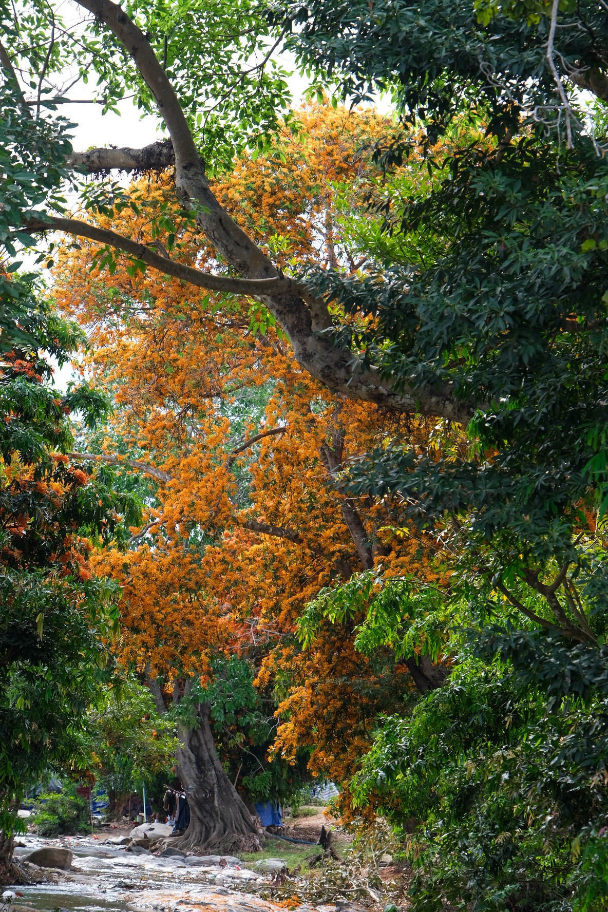 dscf1876.jpg