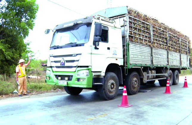 Cảnh sát Giao thông Gia Lai nỗ lực đảm bảo an toàn giao thông vụ mía ảnh 1
