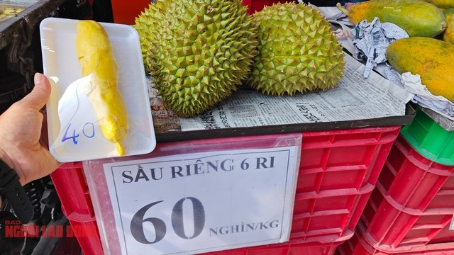 Giá sầu riêng "loạn" Giá sầu riêng "loạn"