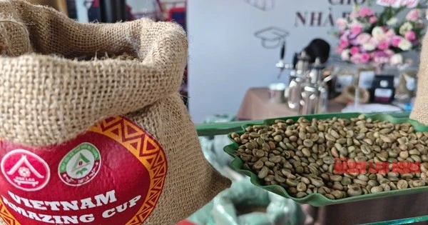  Giá cà phê hôm nay 4-5: Arabica Việt ở đâu ngon?
