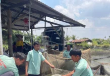 Gia Lai: Nhiều giải pháp phát triển chuỗi liên kết nuôi trồng thủy sản