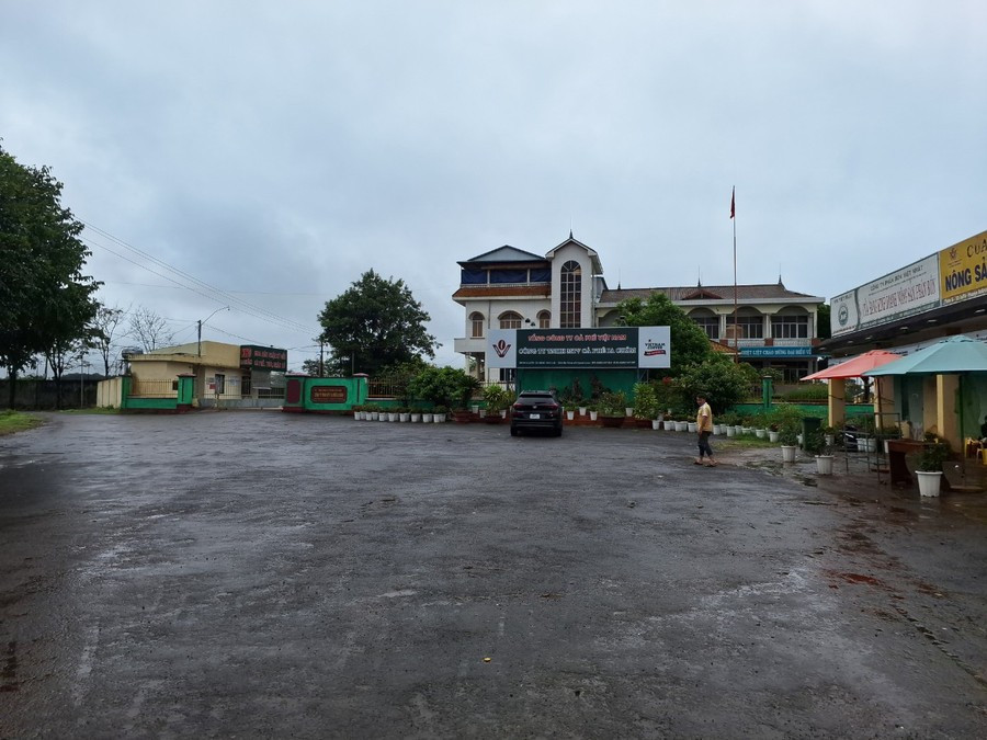 Công ty TNHH một thành viên Cà phê Ia Châm. Ảnh: T.D