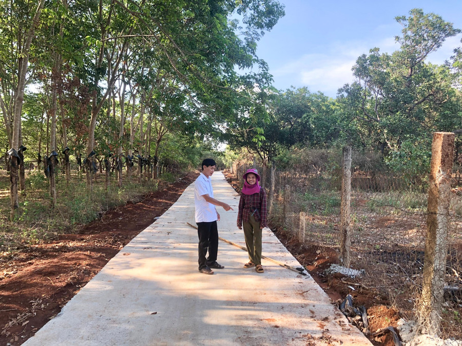 Để làm đường gia đình bà Lương Thị Thành (thôn Ia Tang, xã Ia Kla) đã hiến hơn 100 m2 đất và chặt bỏ một số cây điều. Ảnh: Lê Nam de-lam-duong-gia-dinh-ba-luong-thi-thanh-thon-ia-tang-xa-ia-kla-da-hien-hon-100m2-dat-va-chay-bo-mot-so-cay-dieu.jpg