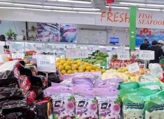  Giá cà phê hôm nay 1-5: Bật tăng, sẽ quảng bá cà phê Việt tại Úc
