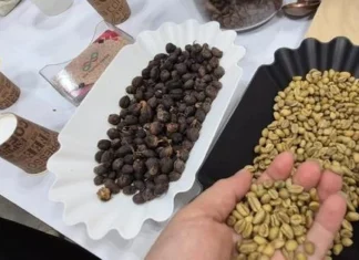  Giá cà phê hôm nay 3-5: Quay đầu tăng, thị trường khó lường
