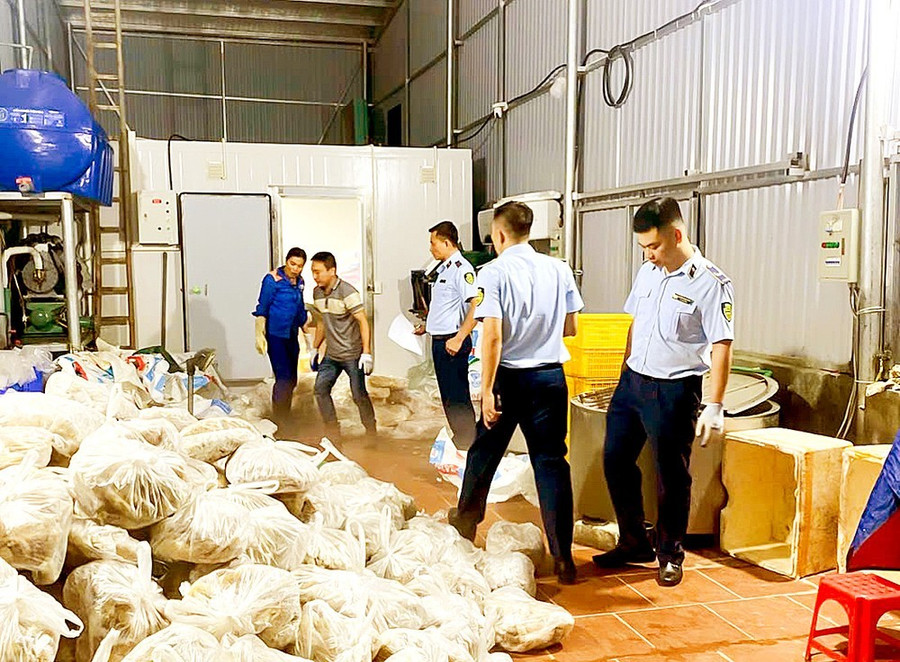 Lực lượng chức năng Hà Nội phát hiện gần 11 tấn nội tạng động vật bốc mùi hôi thối chuẩn bị tuồn ra thị trường dịp lễ vừa qua. Ảnh: PHÚC HẬU Lực lượng chức năng Hà Nội phát hiện gần 11 tấn nội tạng động vật bốc mùi hôi thối chuẩn bị tuồn ra thị trường dịp lễ vừa qua. Ảnh: PHÚC HẬU