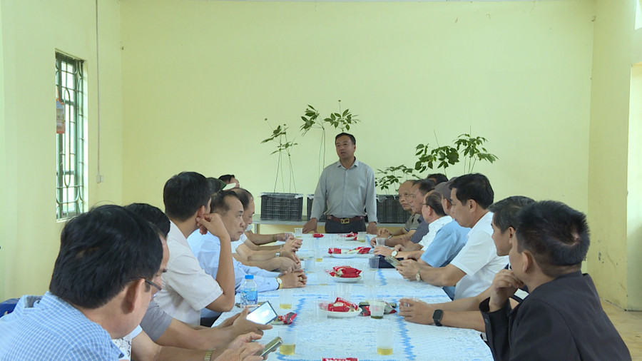 Lãnh đạo Lãnh đạo Công ty TNHH Phát triển Khoa học Quốc tế Trường Sinh giới thiệu mô hình trồng sâm Ngọc Linh và sâm Lai Châu bằng công nghệ cao. Ảnh: Đoàn Bình lanh-dao-lanh-dao-cong-ty-tnhh-phat-trien-khoa-hoc-quoc-te-truong-sinh-gioi-thieu-mo-hinh-trong-sam-ngoc-linh-va-sam-lai-chau-bang-cong-nghe-cao-anh-doan-binh.jpg