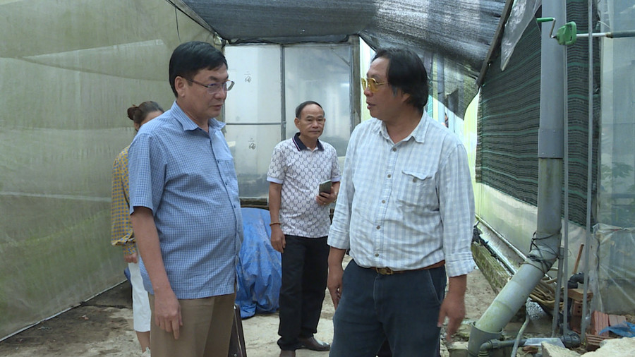Ông Lê Quang Trung-Phó Tổng Giám đốc Công ty cổ phần Sao Đỏ Tây Bắc (bên phải) giới thiệu với Tổng Biên tập Báo Gia Lai Huỳnh Kiên (bên trái) về quy trình trồng sâm công nghệ cao. Ảnh: Đoàn Bình ong-le-quang-trungpho-tong-giam-doc-cong-ty-co-phan-sao-do-tay-bac-ben-phai-gioi-thieu-voi-tong-bien-tap-bao-gia-lai-huynh-kien-ben-trai-ve-quy-trinh-trong-sam-cong-nghe-cao-anh-doan-binh.jpg