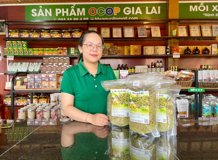 Sản phẩm hoa đu đủ sấy khô của HTX được trưng bày tại cửa hàng OCOP của Hợp tác xã Nông nghiệp liên hiệp Gia Lai. Ảnh: Nhật Hào san-pham-hoa-du-du-say-kho-cua-hop-tac-xa-duoc-trung-bay-tai-cua-hang-ocop-cua-hop-tac-xa-nong-nghiep-lien-hiep-gia-lai-anh-hong-thuong.jpg