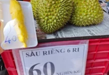  Sầu riêng loạn giá, xuất khẩu giảm sâu
