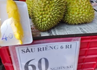  Sầu riêng loạn giá, xuất khẩu giảm sâu
