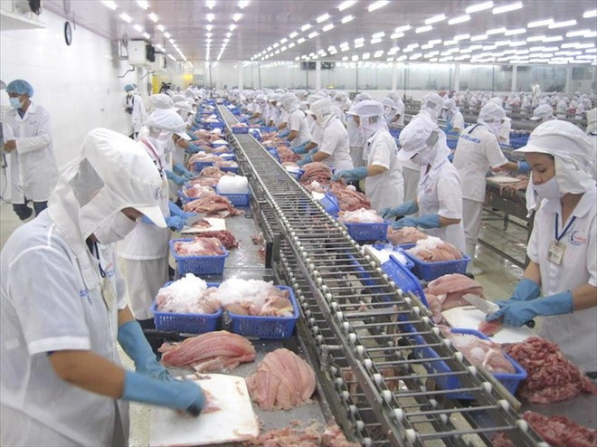 Chế biến thủy sản để xuất khẩu. Ảnh: Vietnam+ Chế biến thủy sản để xuất khẩu. Ảnh: Vietnam+