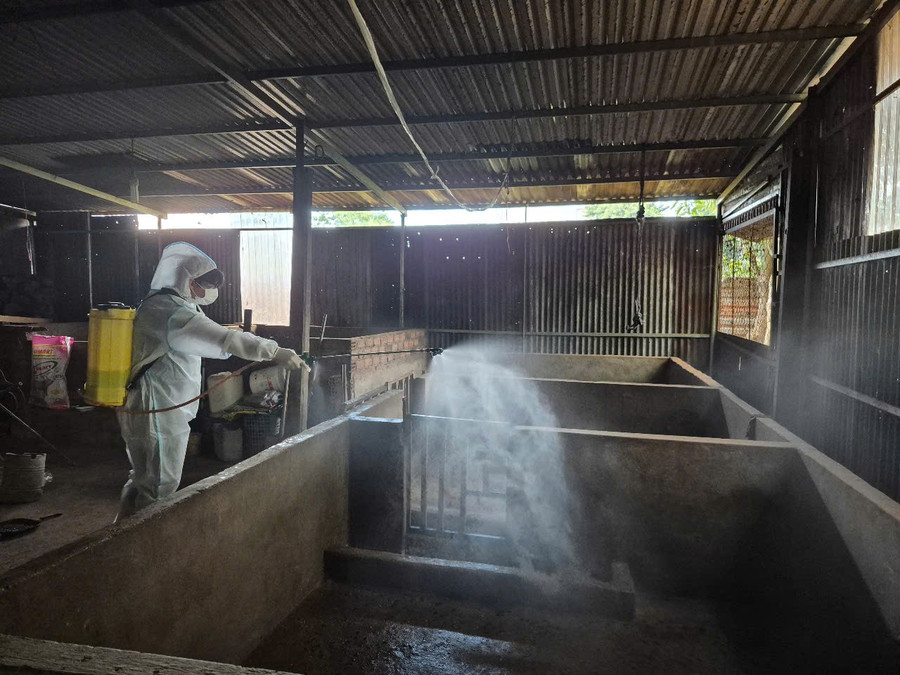 Tiêu độc khử trùng chuồng trại chăn nuôi heo mắc bệnh dịch tả heo châu Phi. Ảnh: ĐVCC z6641014822674-c0cb5d7e7e6c07078d234350d53e1373.jpg