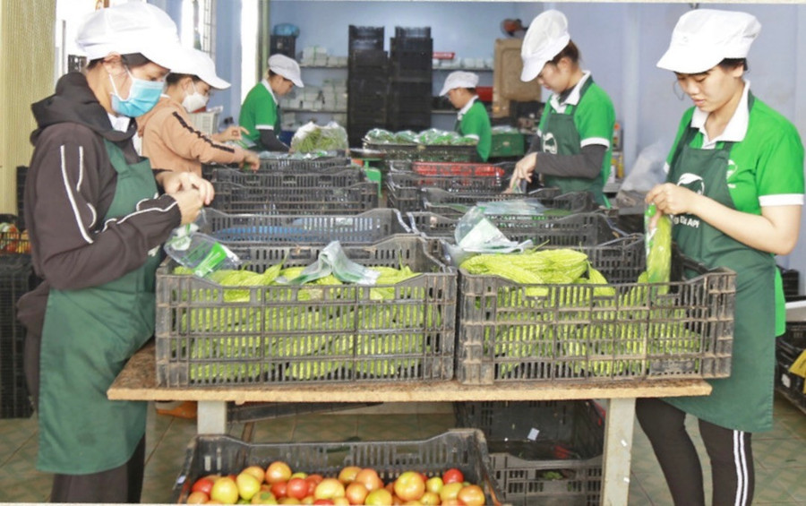 Kế hoạch được xây dựng nhằm thúc đẩy cải thiện môi trường kinh doanh, nâng cao chất lượng giải quyết thủ tục hành chính và phục vụ doanh nghiệp. Ảnh: P.V anh-man-hinh-2025-06-11-luc-151405.jpg