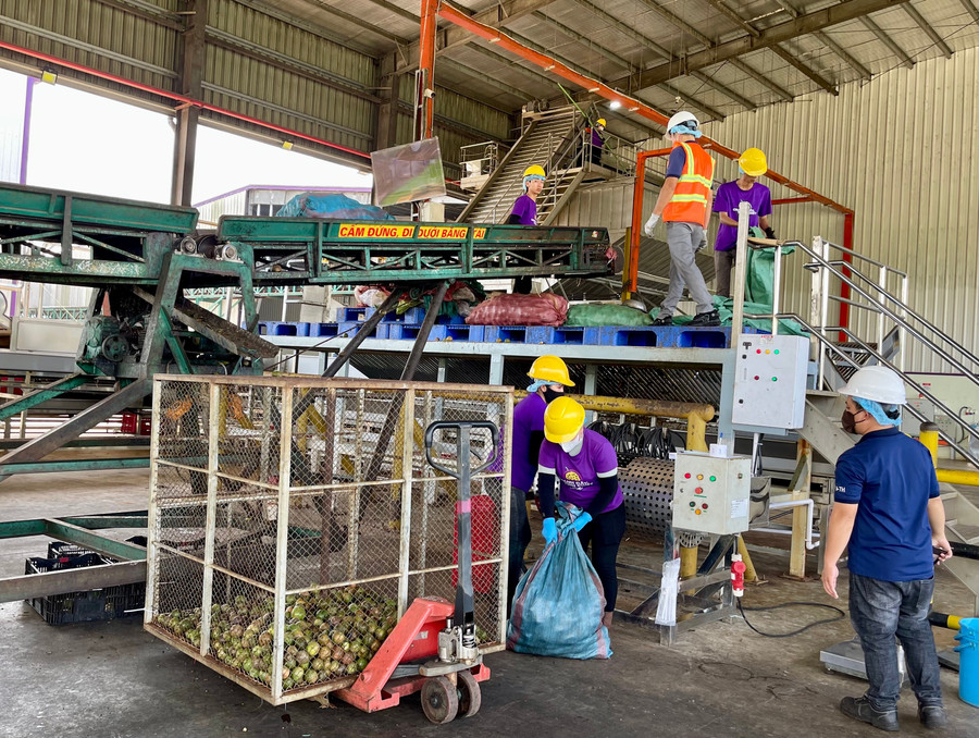 Thiếu hụt nguyên liệu, các nhà máy sản xuất nước ép trái cây giảm mạnh sản lượng. Ảnh: Vũ Thảo nguon-nguyen-lieu-chanh-day-ve-cac-nha-may-che-bien-giam-da-anh-huong-den-ke-hoach-san-xuat-cua-cac-doanh-nghiep-anh-vt.jpg