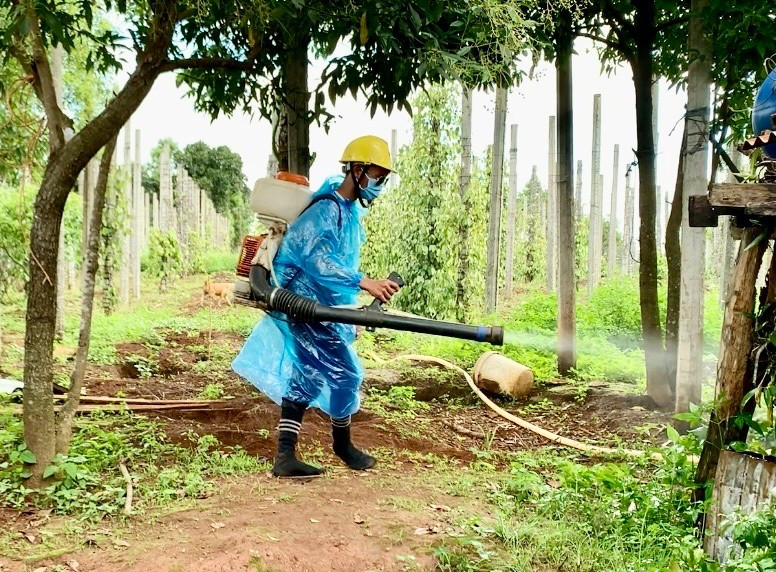 Các địa phương trong tỉnh tăng cường công tác vệ sinh môi trường, diệt lăng quăng/bọ gậy bằng các hình thức để chủ động phòng bệnh SXH. Ảnh: Như Nguyện z5304181971133-9783dc165536eb2f7a4d5e0c71229529.jpg