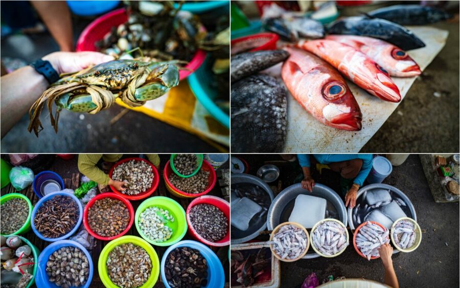 Hải sản bày bán tại khu chợ