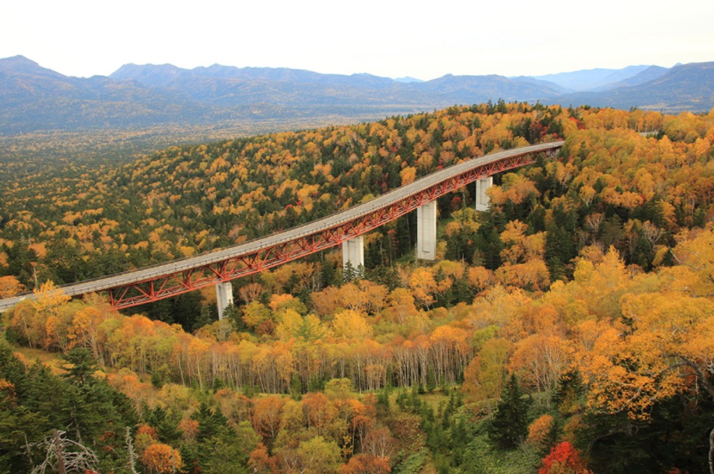 Đảo Hokkaido, phía bắc Nhật Bản, là thiên đường cho những chặng đường trường. Các tuyến đường phổ biến bao gồm bán đảo Shiretoko và đèo Mikuni. Cầu Matsumi (ảnh) tại đèo Mikuni trên đường cao tốc Nukabira có độ cao 1.139 m, lái xe qua đây vào mùa hè với cảnh quan bao phủ bởi màu xanh thẫm của những cây đại thụ, còn mùa thu lại khoác lên mình một biển lá thu rực rỡ sắc màu. ẢNH: MEGURI JAPAN