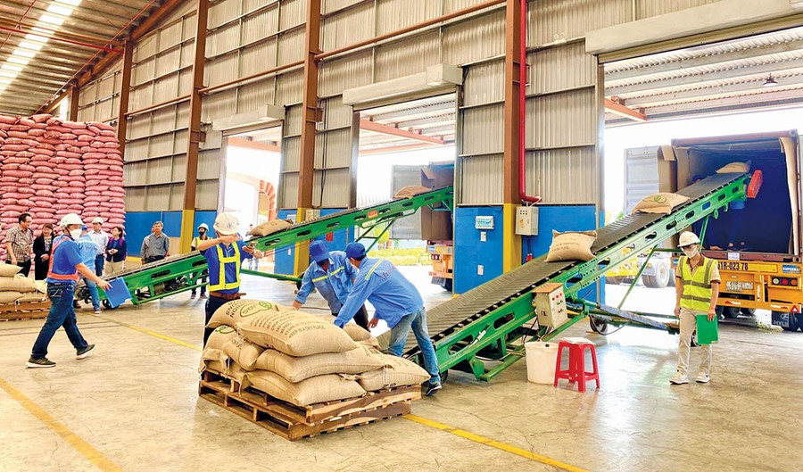 Công ty TNHH Vĩnh Hiệp (Khu công nghiệp Trà Đa, phường Pleiku) chuẩn bị sản phẩm cà phê xuất khẩu. Ảnh: Hà Duy 13-2-tsy3.jpg