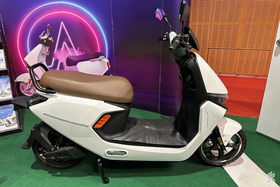 glo-2925-6.jpg